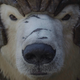 The voice of everyone’s favorite warrior polar bear Iorek Byrnison has been revealed.